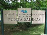 Balneario Punta Salinas - TOA BAJA
